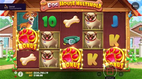 dog house casino game